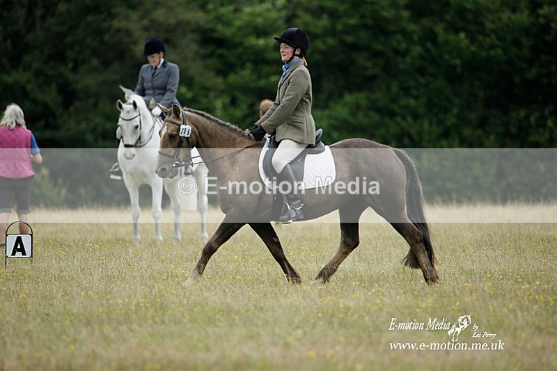 BVRC 030721 350 - Bourne Valley Riding Club Dressage 03/07/21