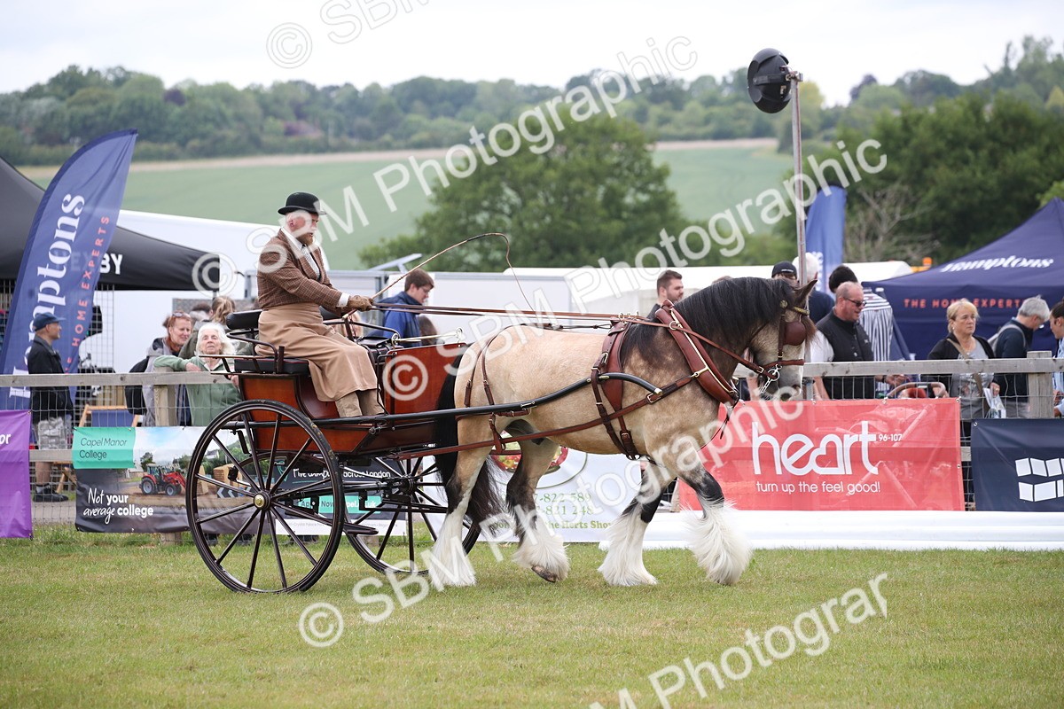 SBM_05621 - Class 12-15 - HOYS Private Driving