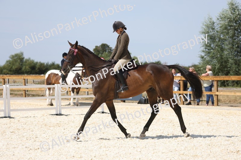 20260802-0750 - Class 8 - Best Riding Horse or Pony