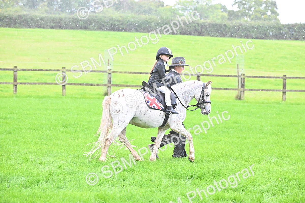 SBM_36501 - S18 - Novice & Newcomer Lead Rein Pony