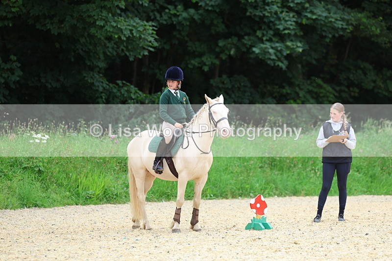 3E7A9313 - Walk trot run