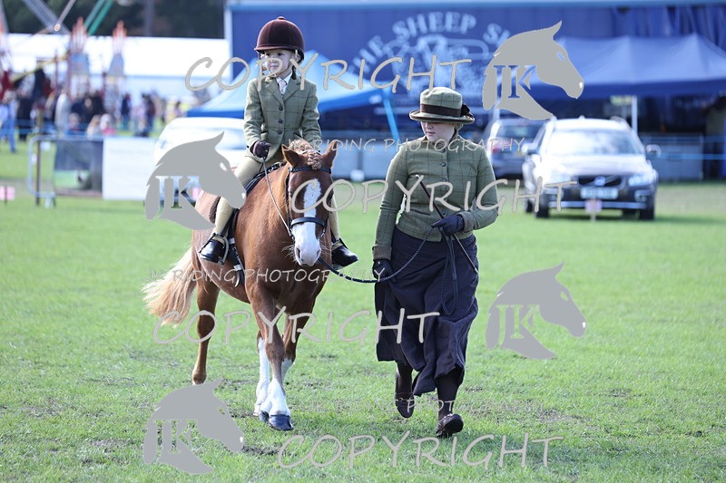 APP_3913 - Class 13 Lead rein