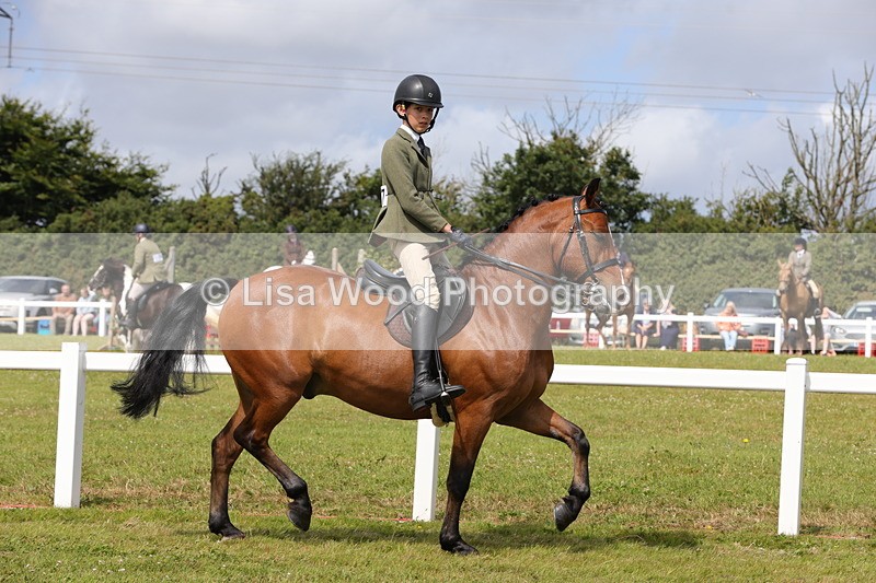 1X9A3973 - Class 32: Show Hunter Pony 153cm and under