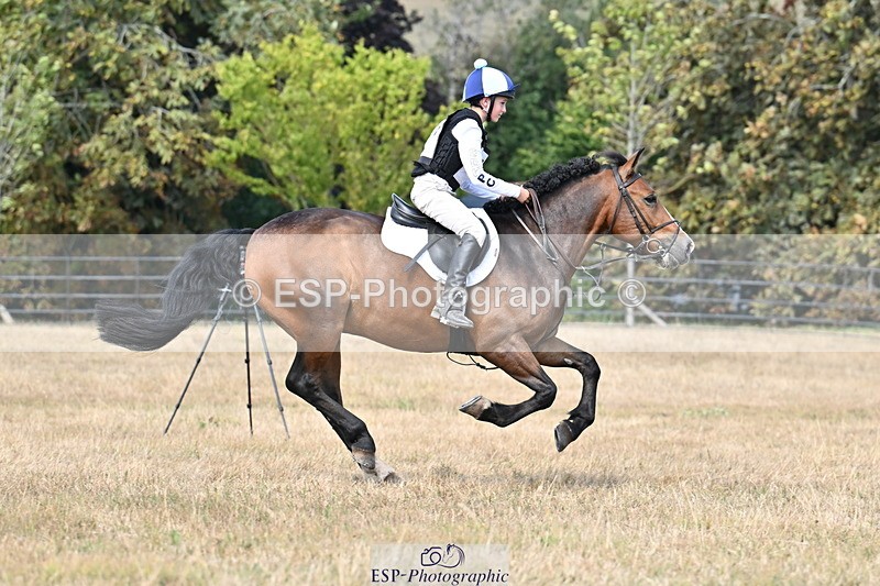 250824A-144834-38612 - 2147-George.Walford-meadow.sweet.conker