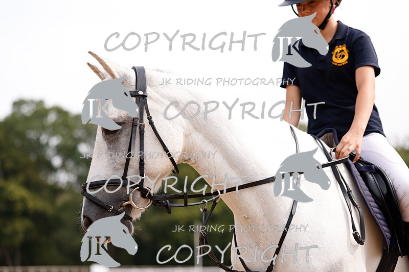 _R6A2419 - Dressage Morning