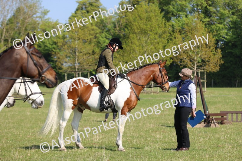 20250427-0571 - Class 17 - Novice Showing