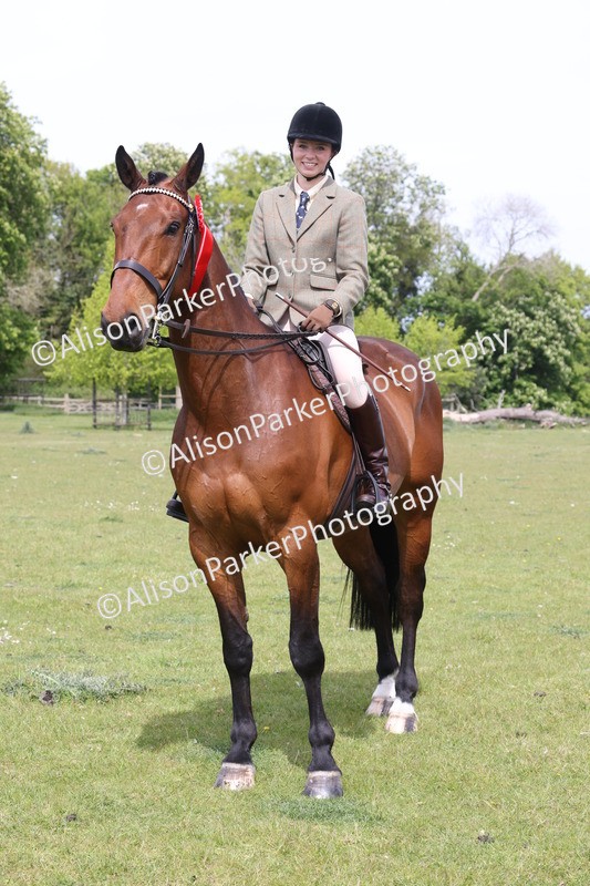 20260426-4424 - Class 34 - Best Riding Horse Over 14.2hh