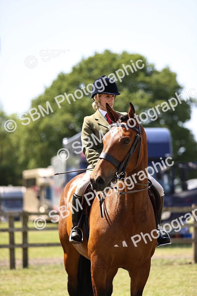 SBM_15233