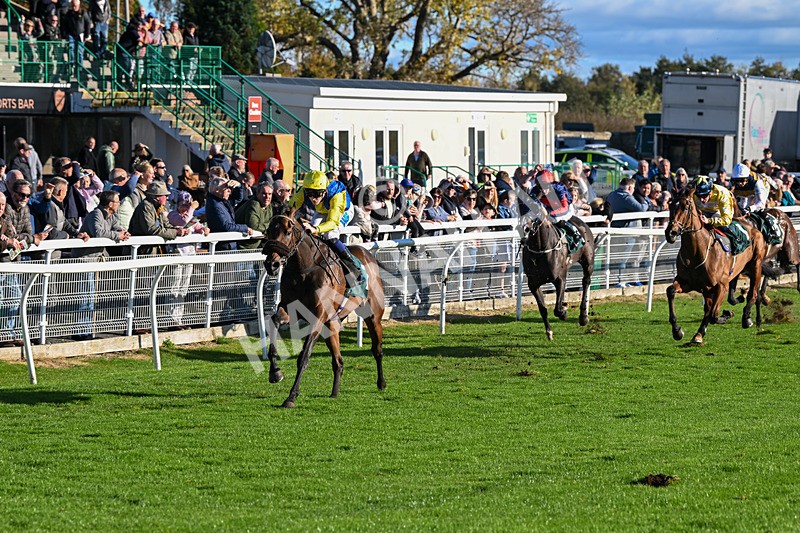 291024-Race 3-Kings Scholar-5913 - Race 3