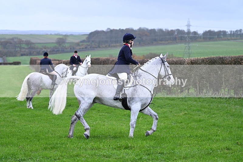 WJ7_8773 - Meet Staff & Hounds