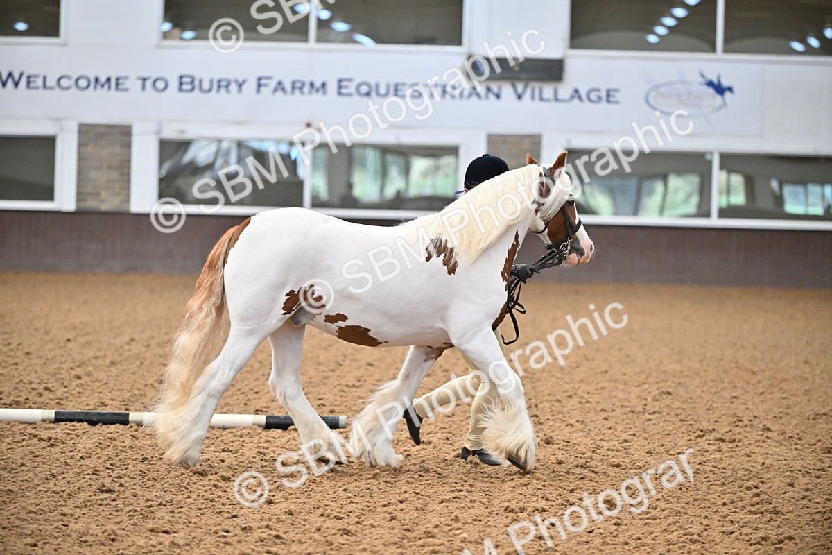 SBM_000054 - Class 1 - In Hand Cob