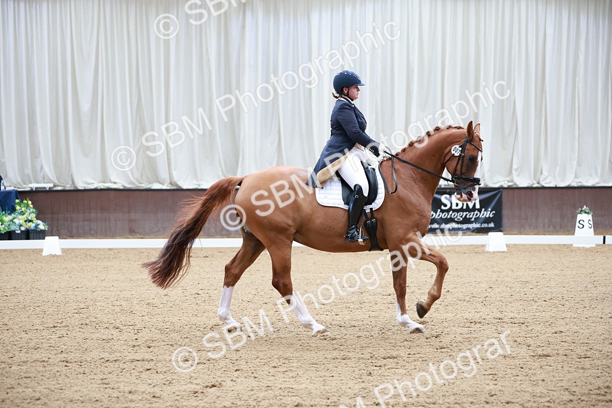 SBM_008705 - Class 14 - FEI PSG - 9.30-10.30