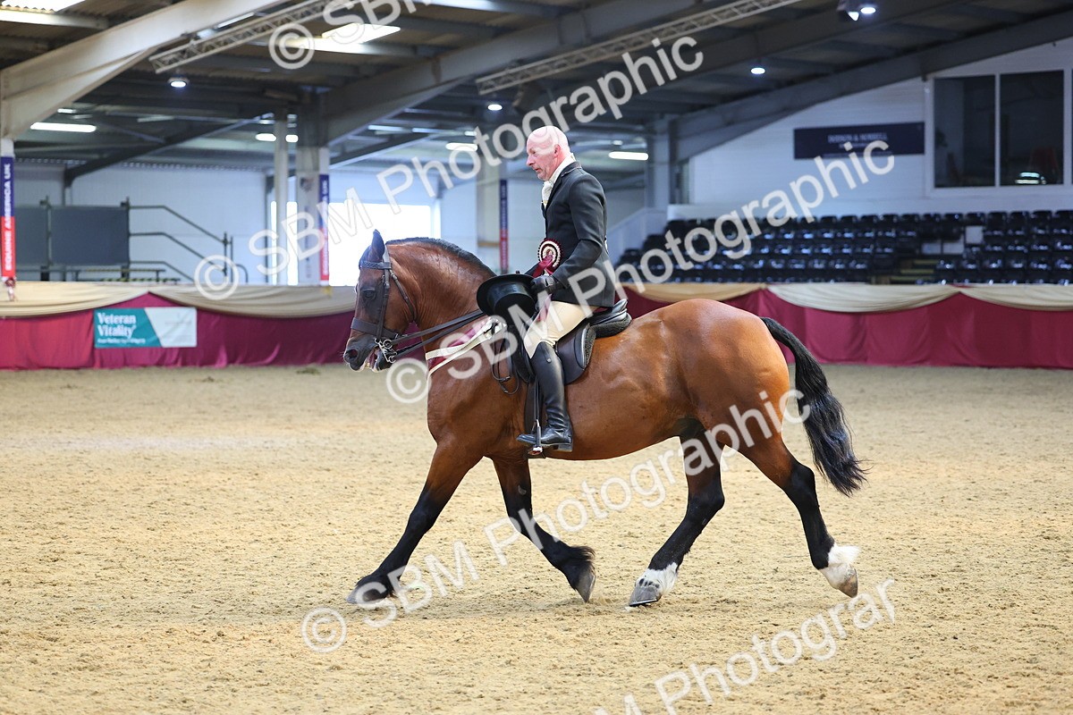 SBM_24713 - Class 906 - Supreme Final - Ridden Pre Vet