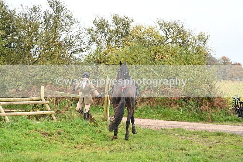 WJ7_0448 - Camera 1 & Last fence