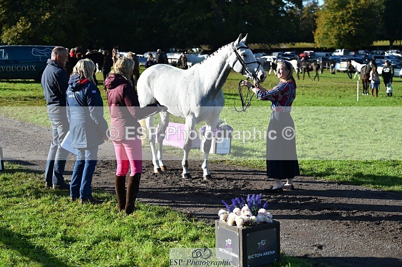 231022-101400-22322 - 504-CALYPSO'S.PRIDE-Letitia.Pickles-TrotUp+SJ