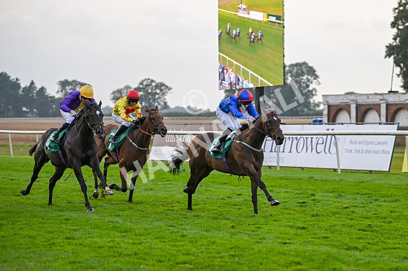 070924-Race 8-Desert Falcon-8081 - Race 8