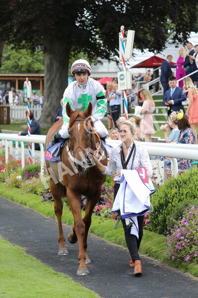 yr24072021r2-25 - Race 2 2.40pm Sky Bet Dash