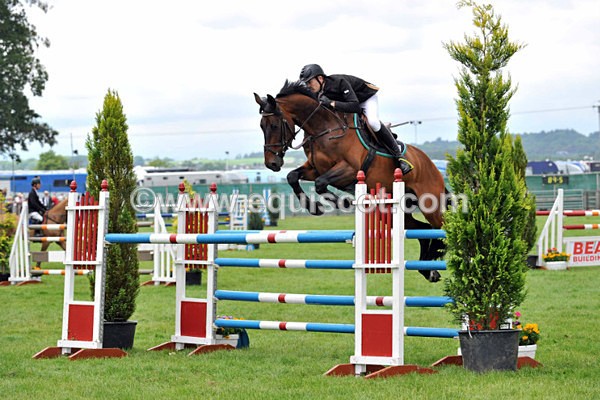 EQUISCOT 9303 - A WEE PEEK AT RHS 2013