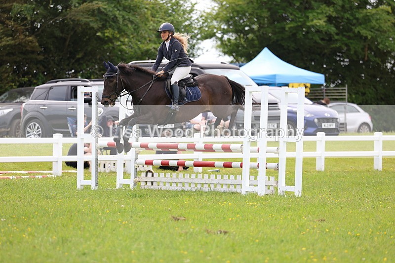 3E7A1713 - Class 13: Senior British Novice/90cm open