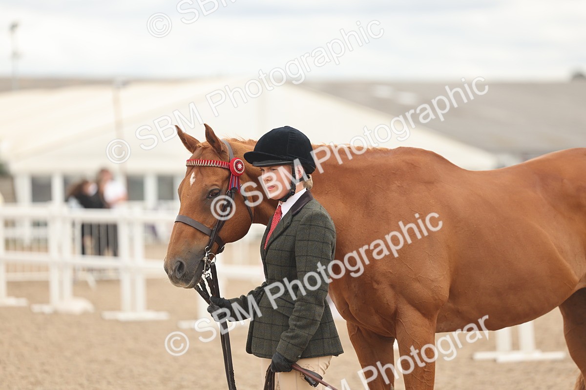SBM_17103 - Class 313 - IH Retired Racehorse