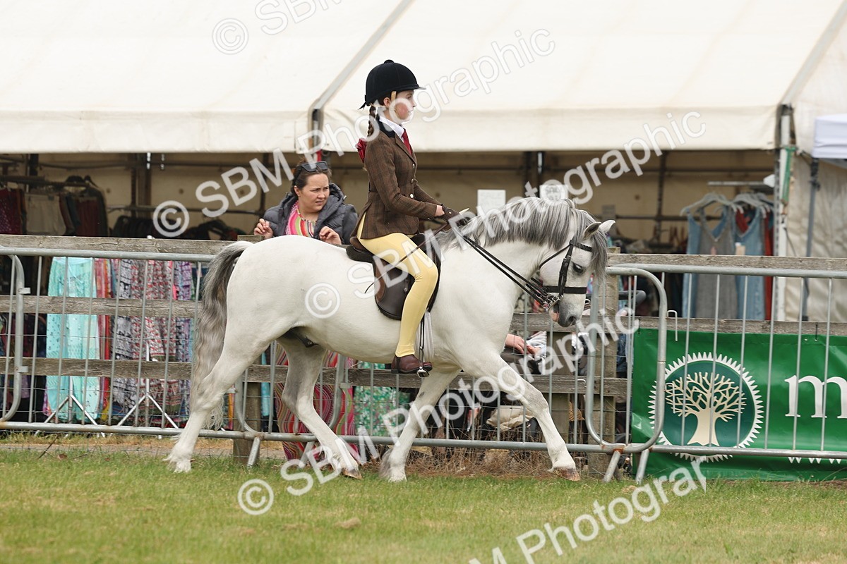 SBM_07088 - Class 76-77 - Ridden M&M Welsh Ponies