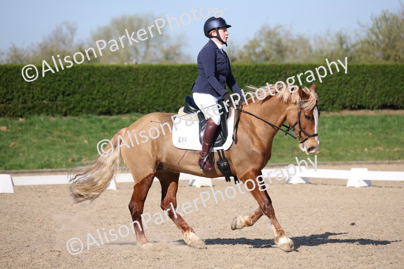 20250405-0277 - Class 11 - My Quest Novice 3
