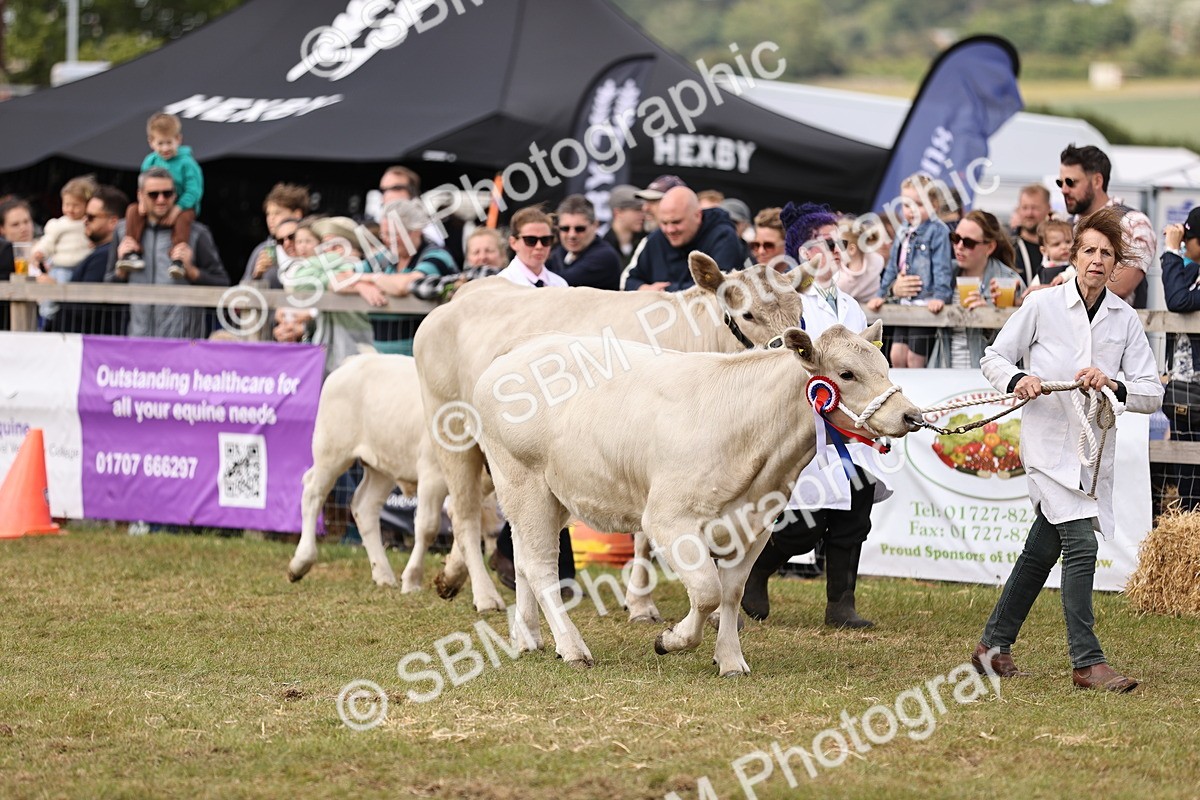 SBM_16906 - Grand Parade