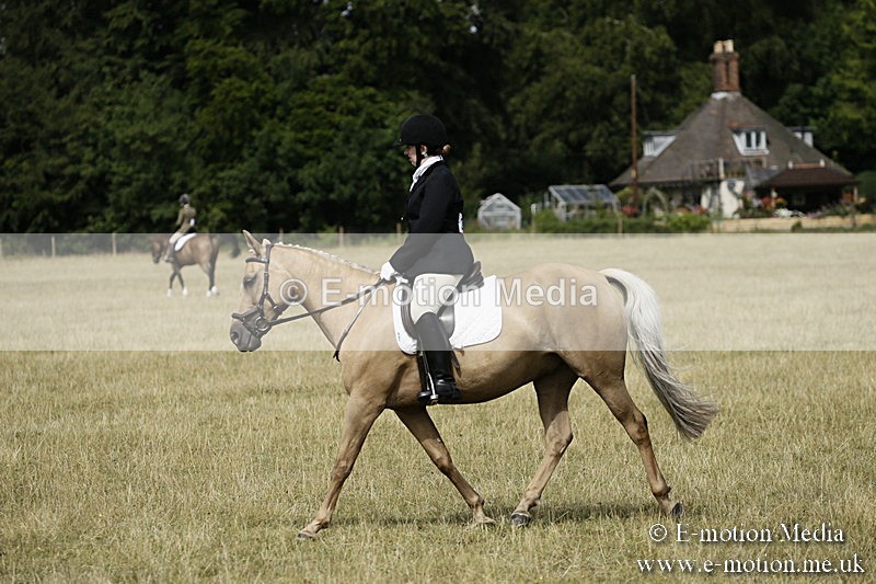 _EP59133 - Roving Camera BVRC Show 2018