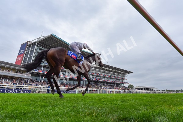 230825-Race 4-Ethical Diamond-9792 - Race 4 3.35pm Sky Bet Ebor Handicap