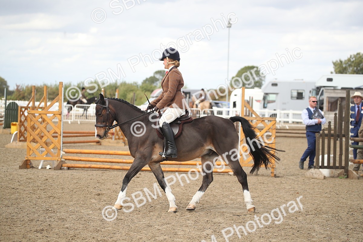 SBM_15261 - Class 506b - Working Veteran - 50cm (20+)