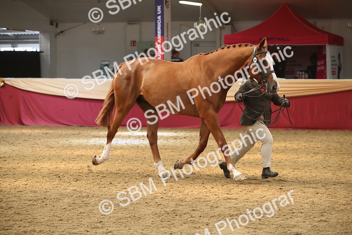 SBM_05632 - Class 9R - Regional IH Pre-Vet