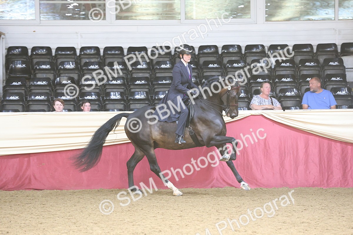SBM_23769 - class 906 - Supreme Final - Ridden Pre Vet