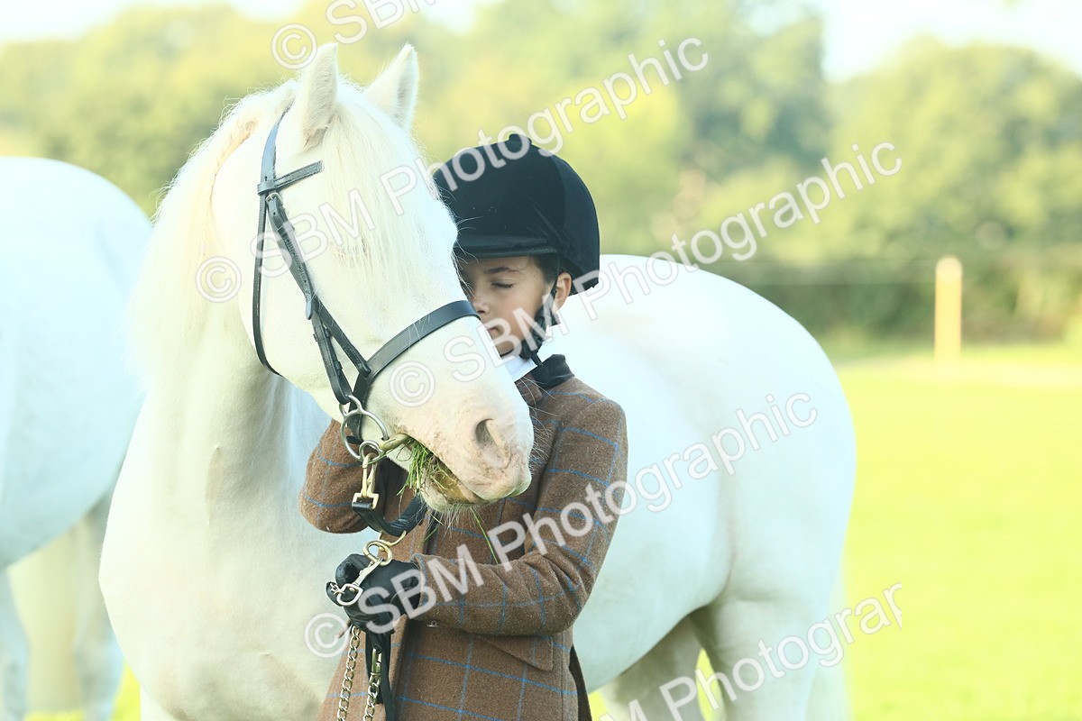 SBM_57498 - S37 - Starters In Hand Showing