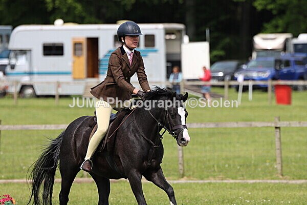 IMG_3215 - Working Hunter