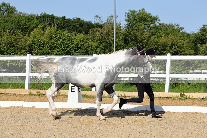 1X9A0738 - Class 4: Youngstock 1, 2, 3 year old to exceed 153cm