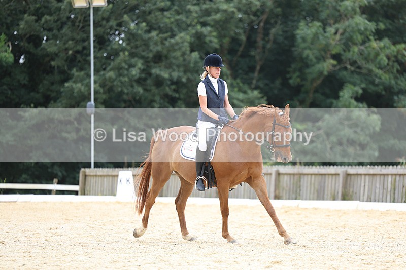 3E7A7440 - Class 9: Elementary 4 2024 - No sections