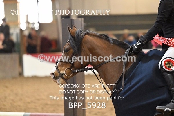 BPP_5928 - CLASS 5 PONY 50CM FINAL