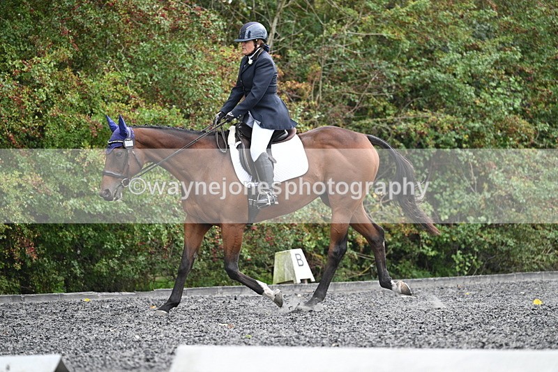 WJ7_6485 - Time 14:49 to 15:14