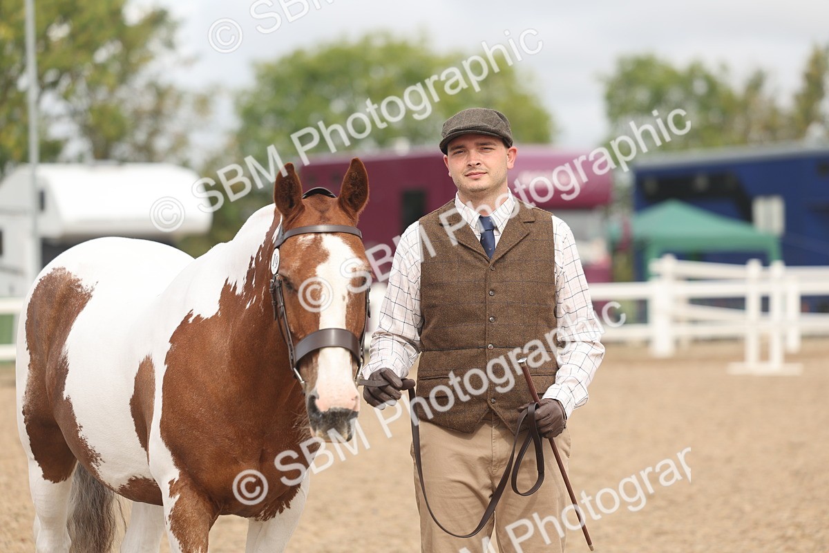 SBM_02093 - Class 15 - IH Coloured