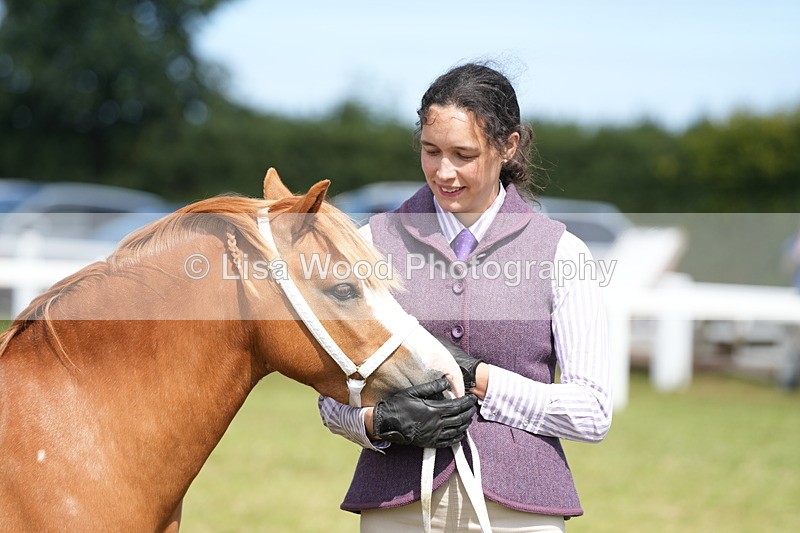 DSC05609 - Class 50: NPS M&M 4 years and over Small Breeds