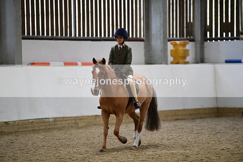 WJ5_7271 - Class 11 Ridden PC - RC Pony