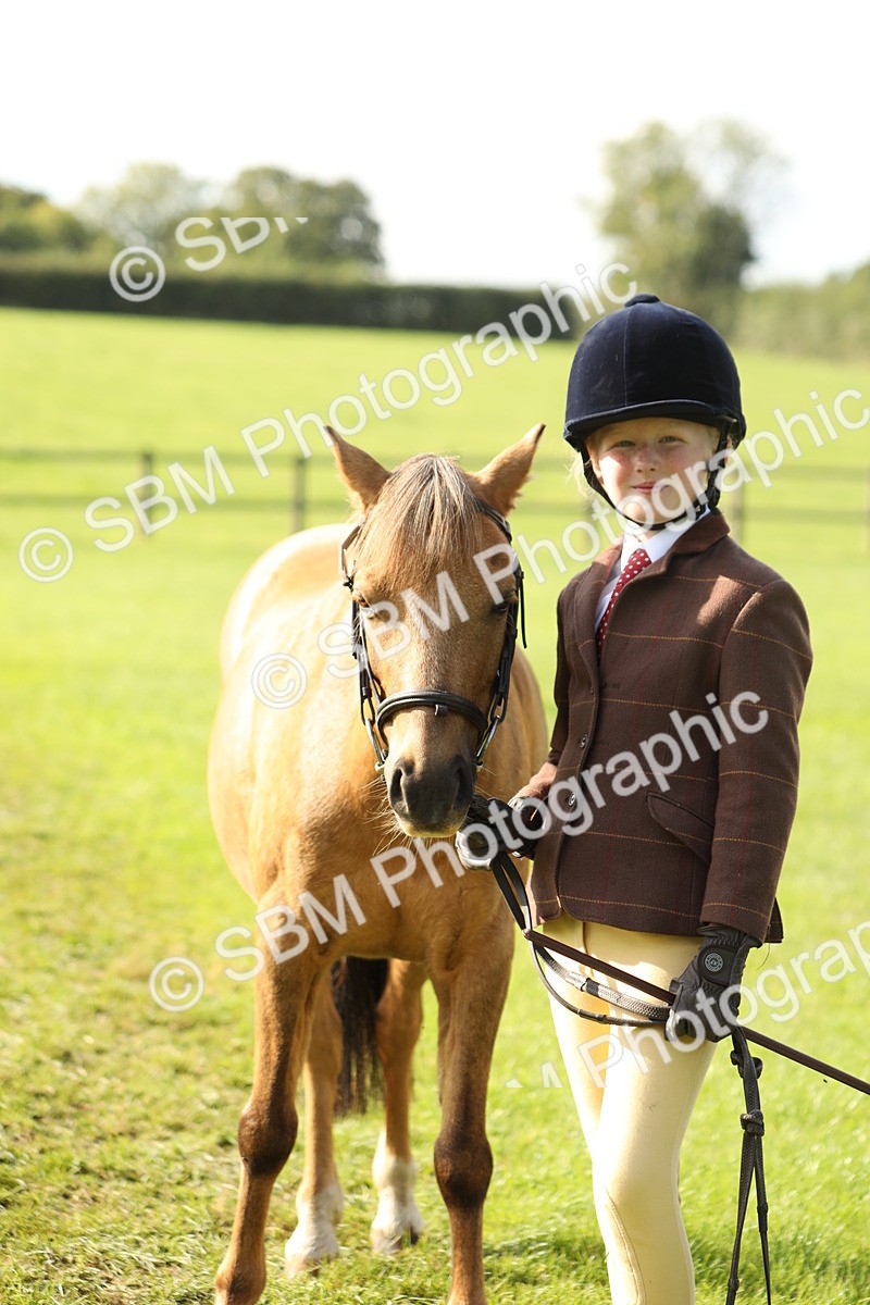 SBM_61016 - S43 - Coloured Pony In Hand