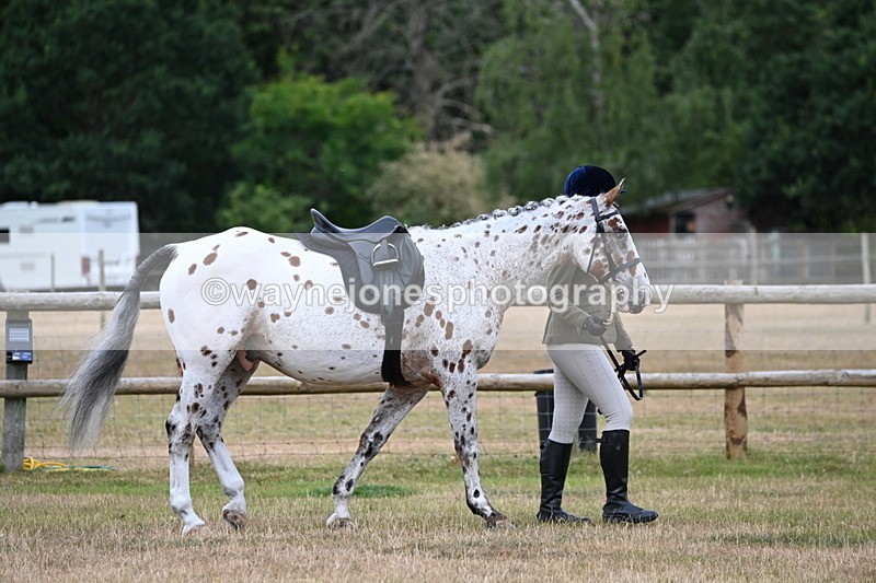 WJ6_3717 - Class 9 Tack & Turnout