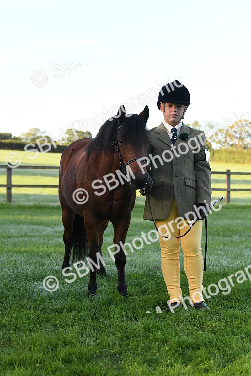 SBM_32734 - S15 - Condition & Turnout In Hand