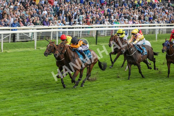 230923-Race 4-Aphelios-5325 - Race 4 3.45pm Jigsaw Sports Branding Handicap