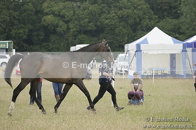 B230619-0260 - Bourne Valley Riding Club Summer Show 23/06/19