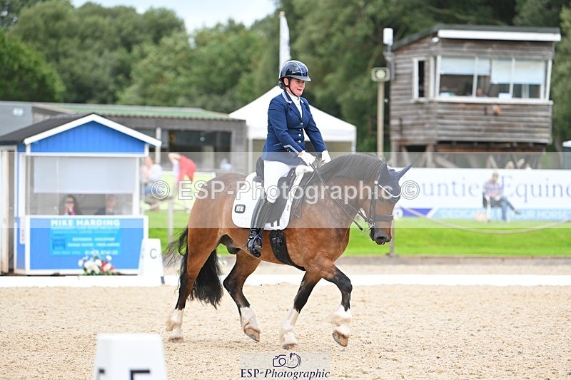 230813-142112-07733 - Cls 13 Medium Bronze 13.15 to End