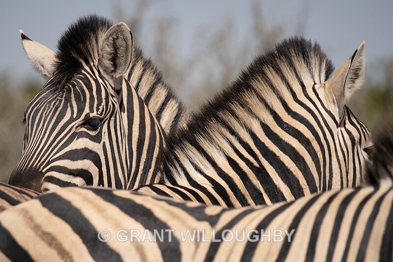  - Namibia