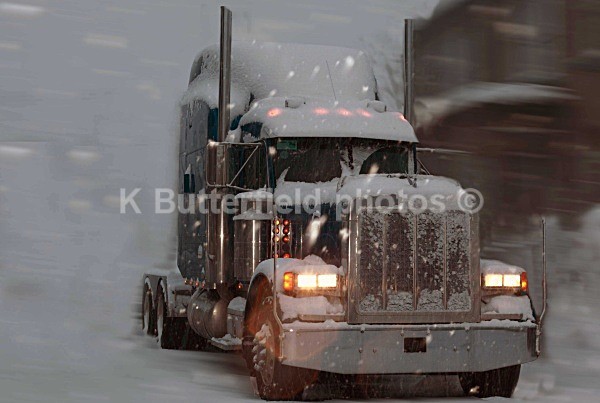 _MG_9845 - New Pics From The Snow