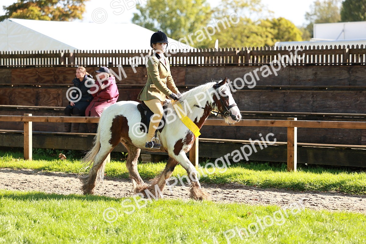 SBM_42140 - S32 - Mountain & Moorland Working Hunter Pony